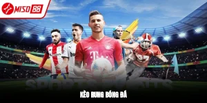 Kèo rung bóng đá