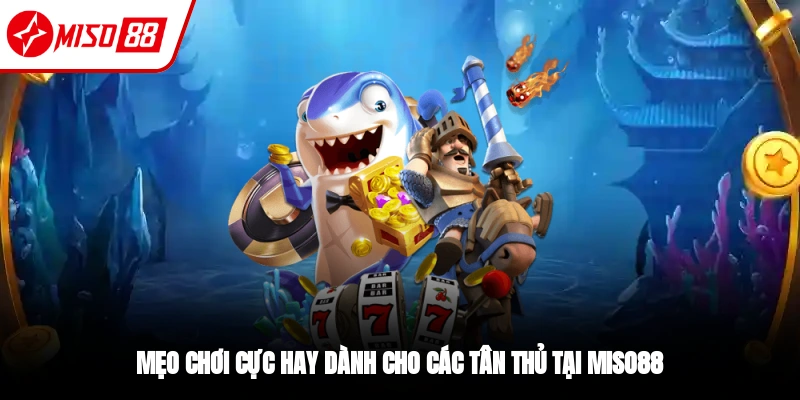 Bắn cá Tây Du Ký - Cùng Lên Đường Đi Săn Thưởng Ngay Hôm Nay 4 Tổng hợp kinh nghiệm chơi bắn cá Tây Du Ký