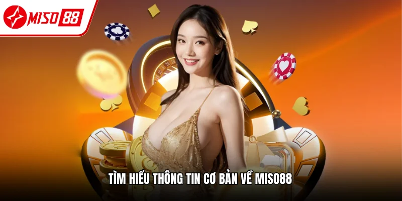 Miso88 - Link Miso88 miso88.com chính thức | Đăng nhập +88k 8 Thông tin tổng quan nhà cái Miso88